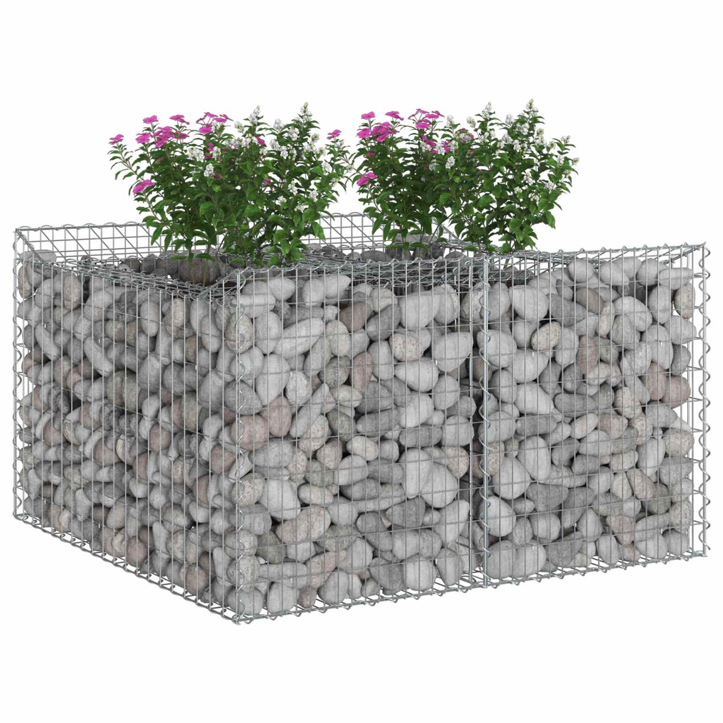 Gabion Raised Bed Silver