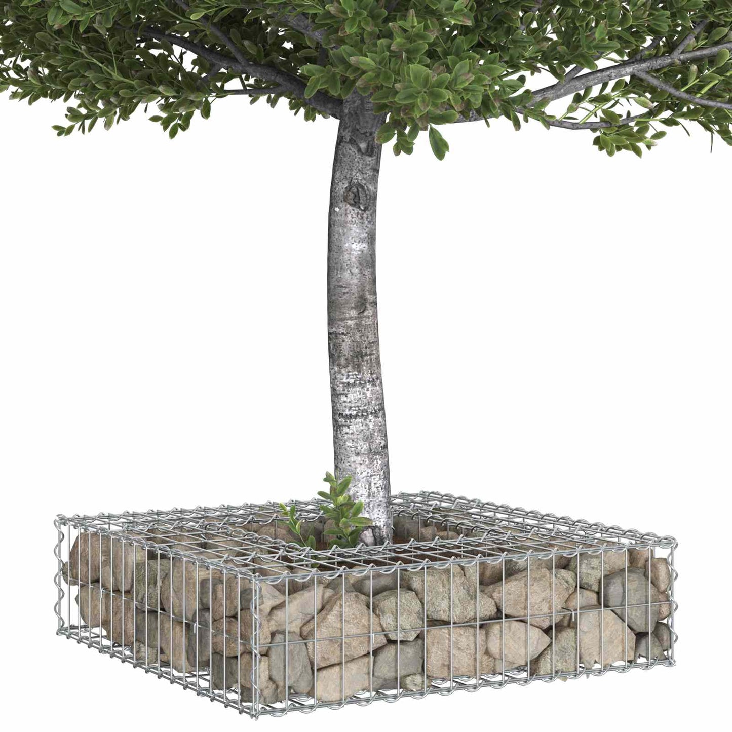 Gabion Raised Bed Silver