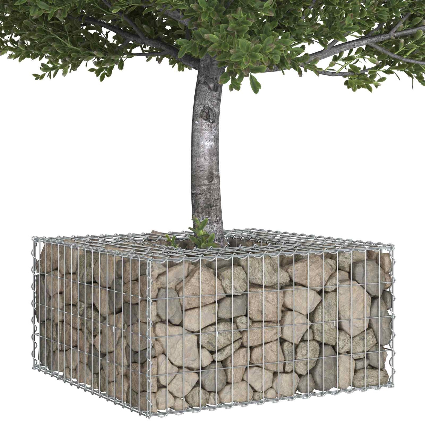 Gabion Raised Bed Silver