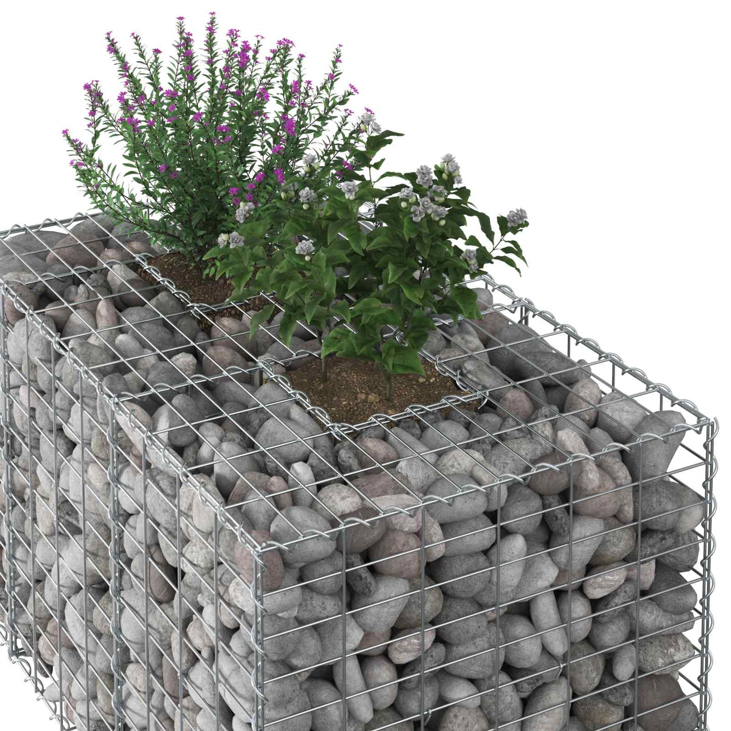 Gabion Raised Bed Silver