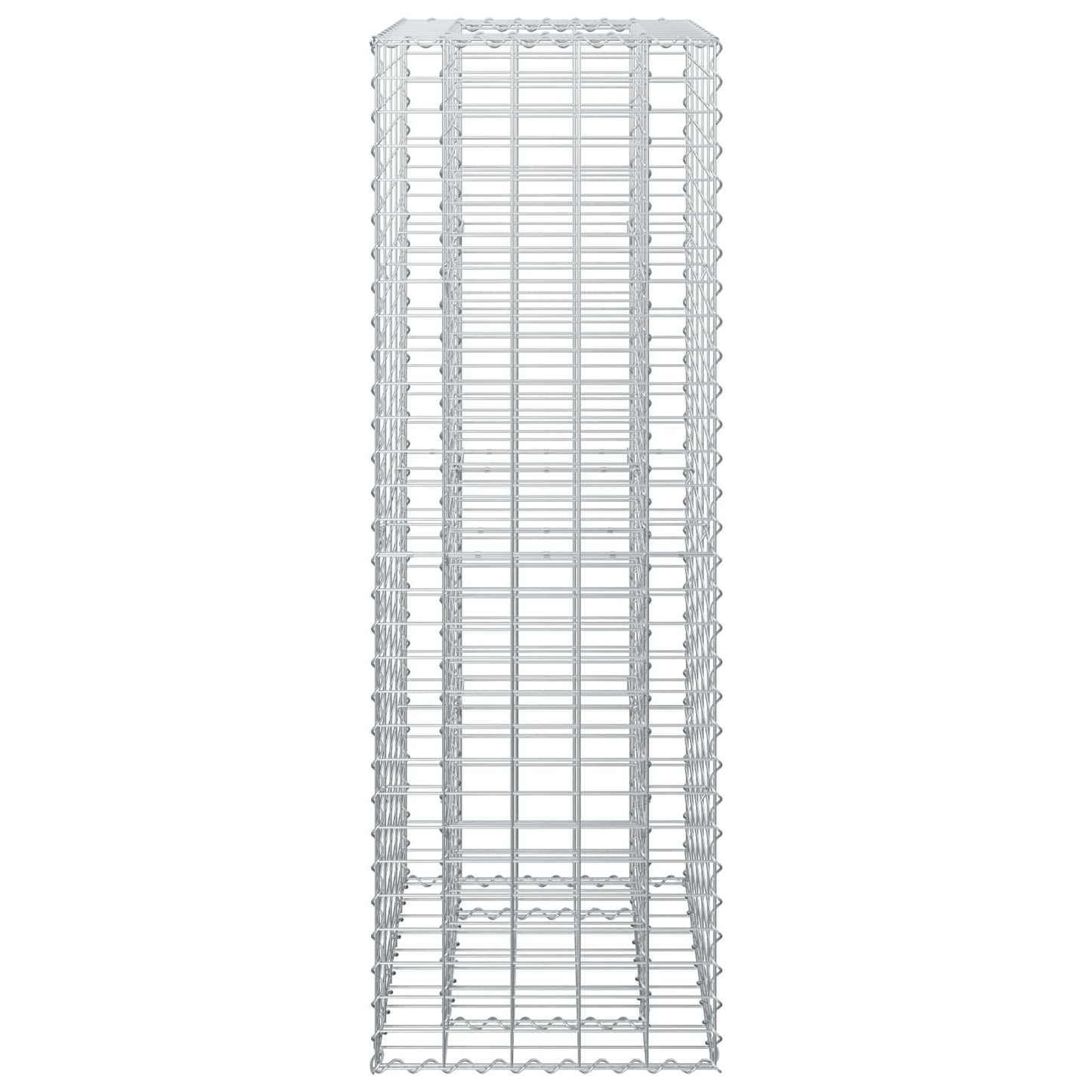 Gabion Raised Bed 50 x 50 x 150 cm Galvanised Steel Silver