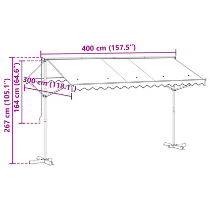 Free Standing Awning 4 x 3 m Polyester Anthracite