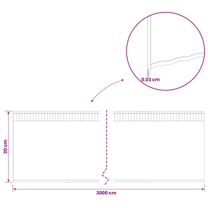 Lawn Edging 20 m x 20 cm Galvanised Steel Silver