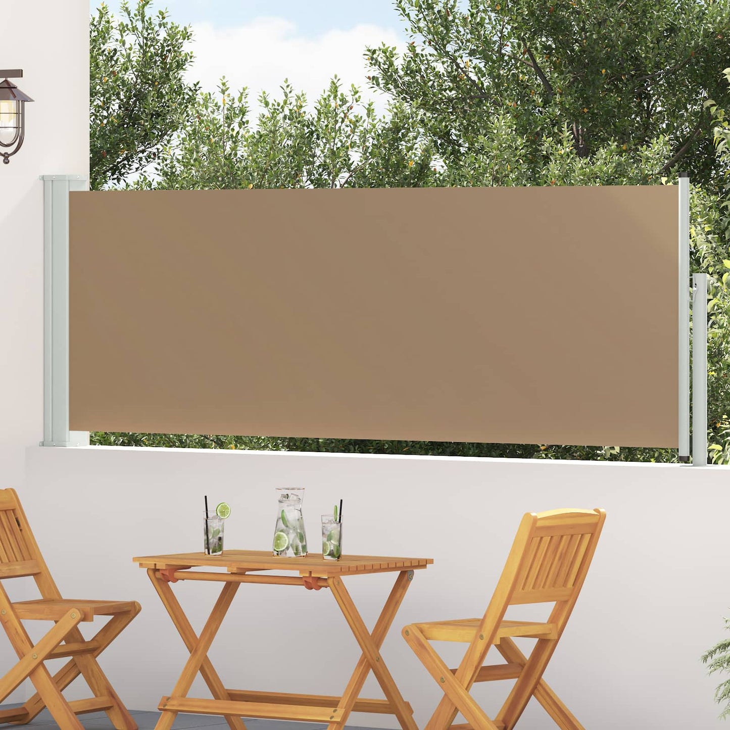 Retractable Side Awning Taupe 300 x 100 cm Polyester