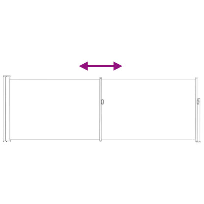Retractable Side Awning Taupe 300 x 100 cm Polyester