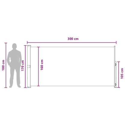 Retractable Side Awning Taupe 300 x 170 cm Polyester