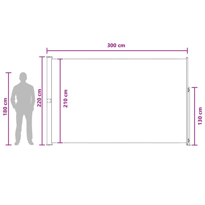 Retractable Side Awning Taupe 300 x 220 cm Polyester