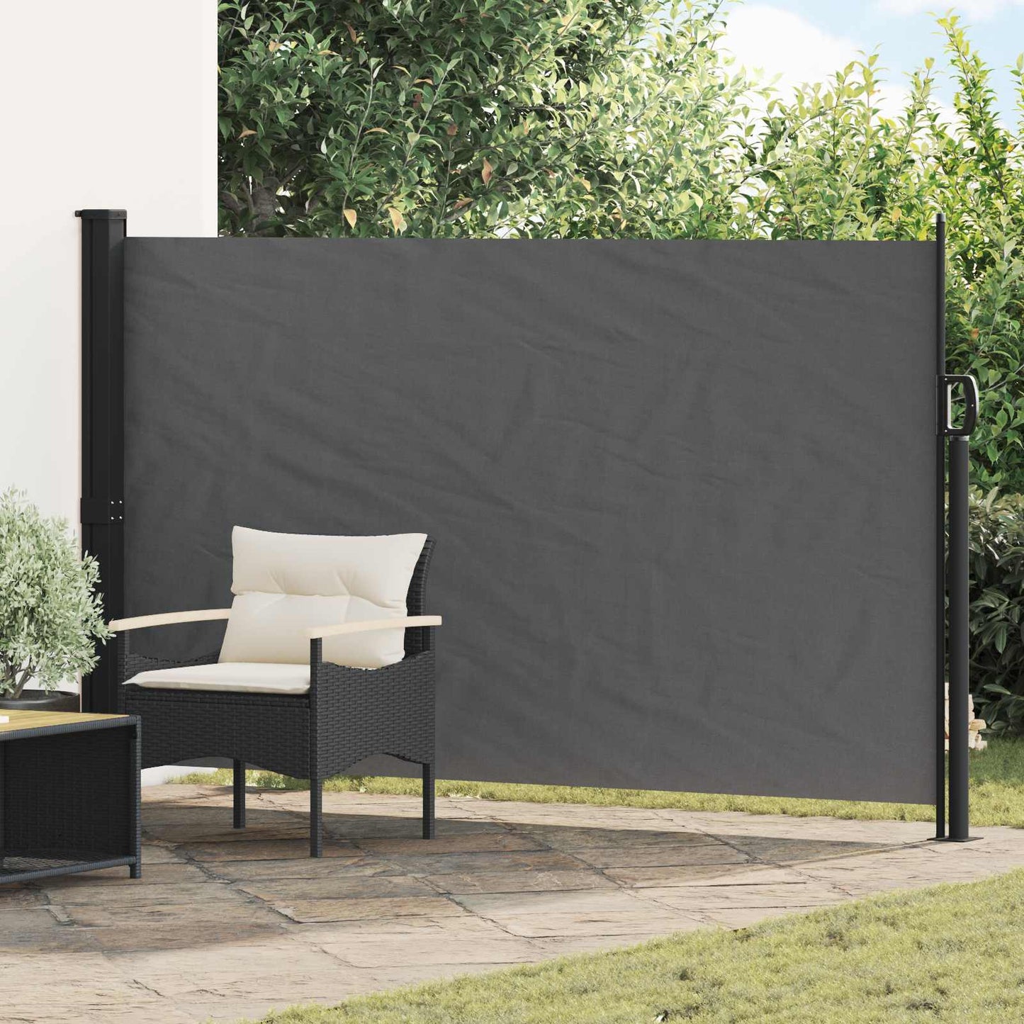 Retractable Side Awning Anthracite 300 x 170 cm Polyester