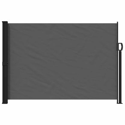 Retractable Side Awning Anthracite 300 x 170 cm Polyester