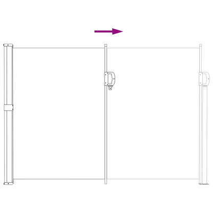 Retractable Side Awning Anthracite 300 x 170 cm Polyester
