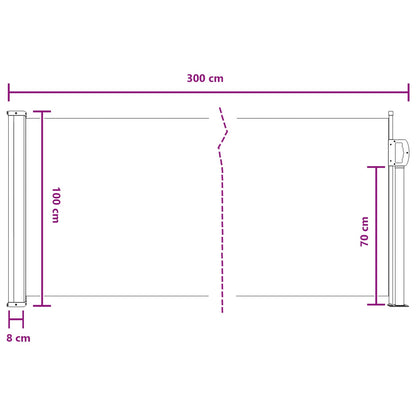 Retractable Side Awning 100% polyester iron steel