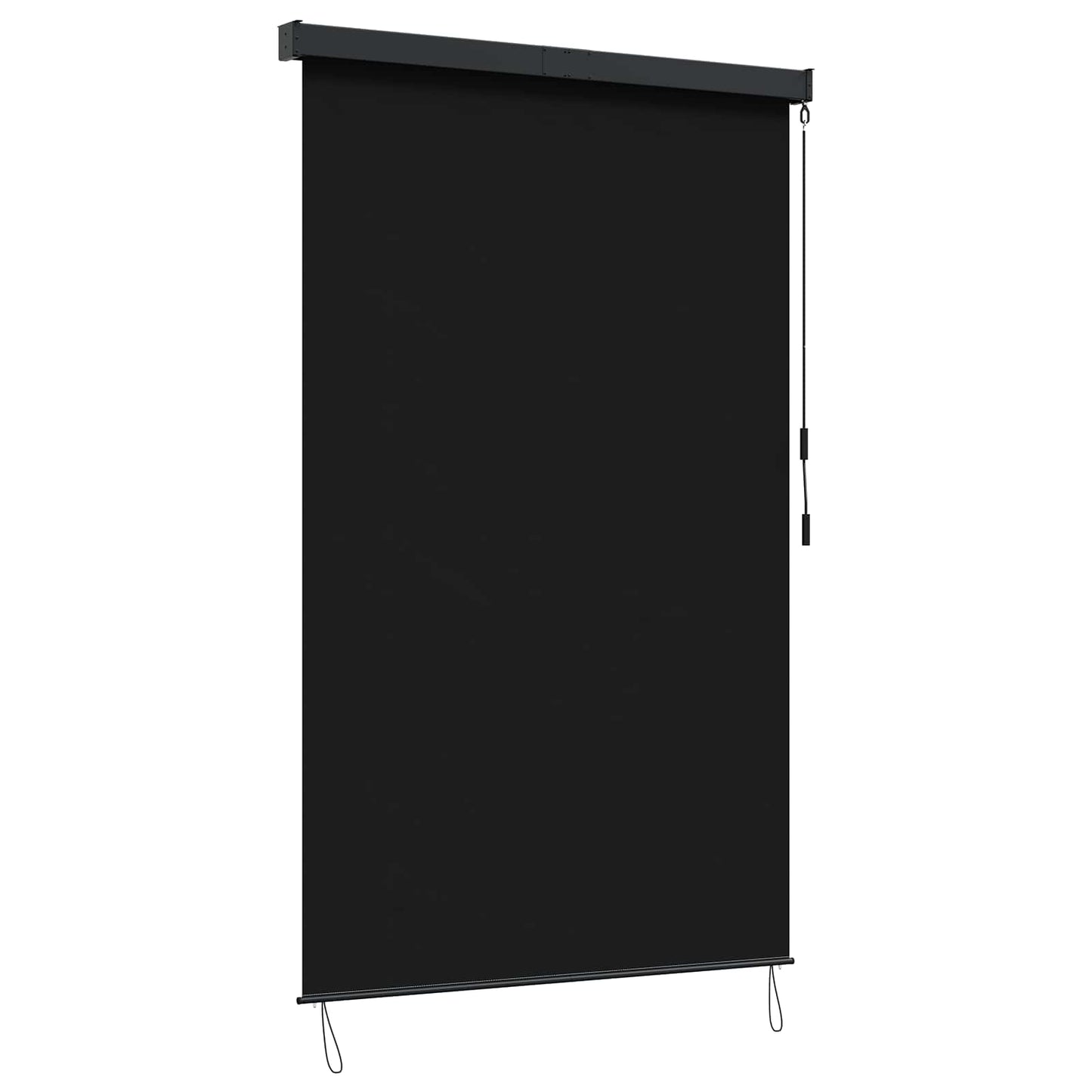 Roller Blind Black 60 x 250 cm Fabric and Aluminum