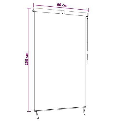 Roller Blind Black 60 x 250 cm Fabric and Aluminum