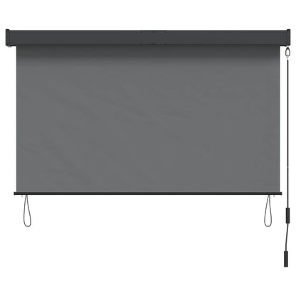 Roller Blind Light Grey 60 x 250 cm Fabric and Aluminum