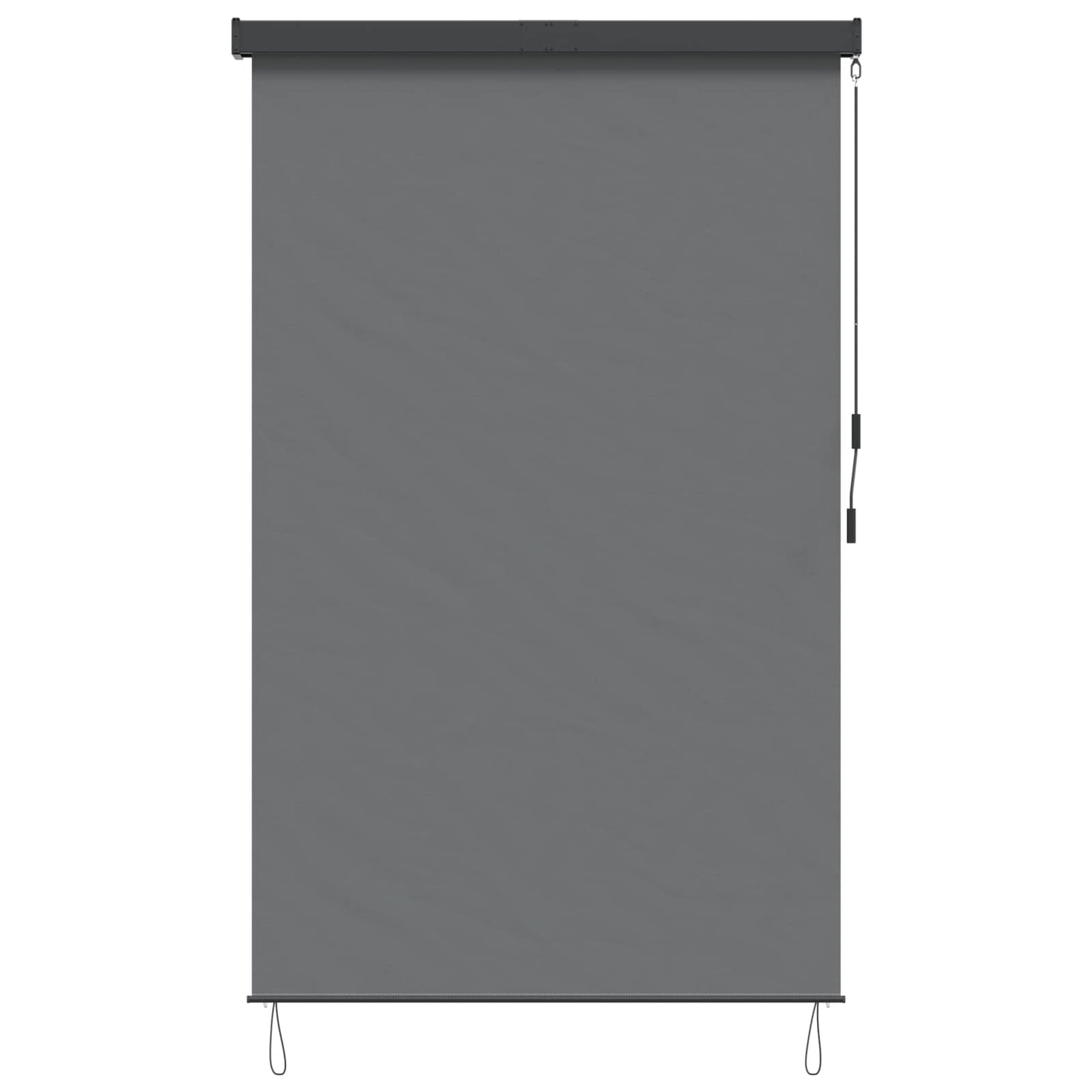 Roller Blind Light Grey 60 x 250 cm Fabric and Aluminum
