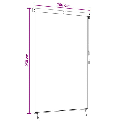 Roller Blind Black 100 x 250 cm Fabric and Aluminum