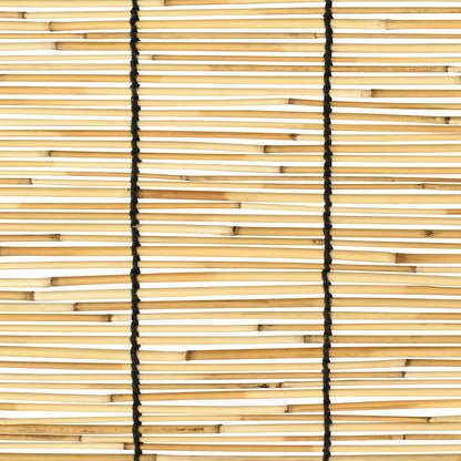 Roller Blind Natural 100 x 160 cm Reed