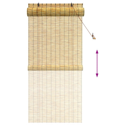 Roller Blind Natural 100 x 220 cm Reed
