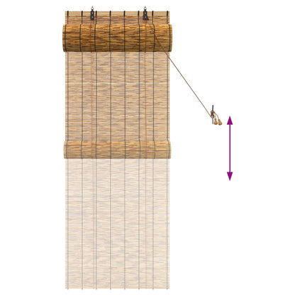 Roller Blind Brown 60 x 160 cm Reed