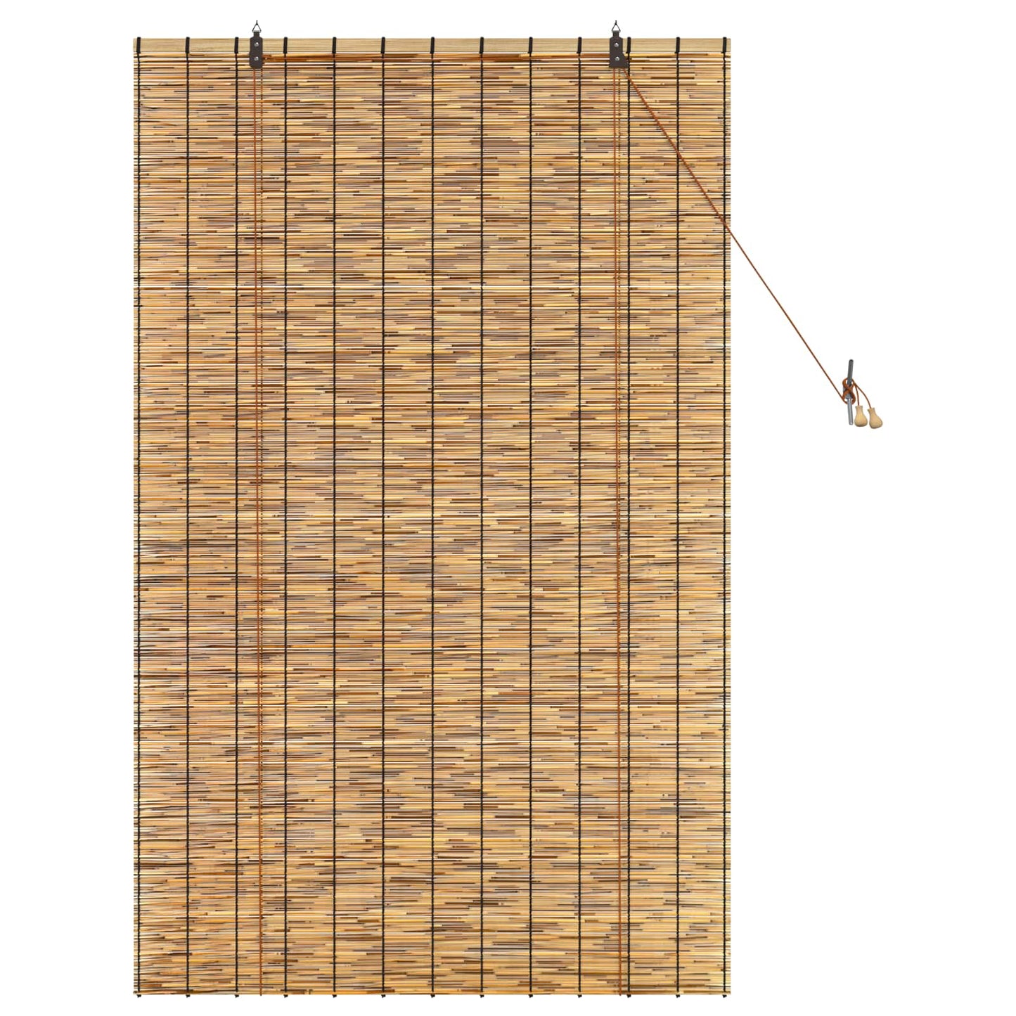 Roller Blind Brown 100 x 160 cm Reed