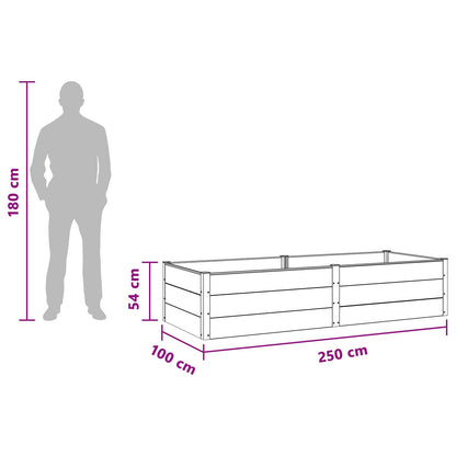 Garden Raised Bed Black 250 x 100 x 54 cm