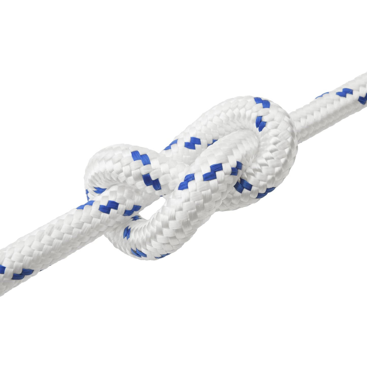 Boat Rope 10 m 3 White and Blue PP