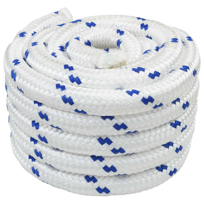 Boat Rope 10 m 3 White and Blue PP