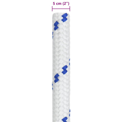 Boat Rope 5 m 5 White and Blue PP
