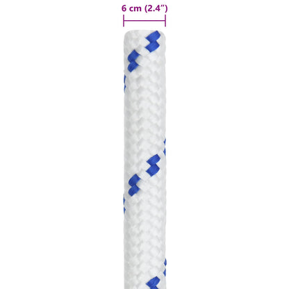 Boat Rope 10 m 6 White and Blue PP