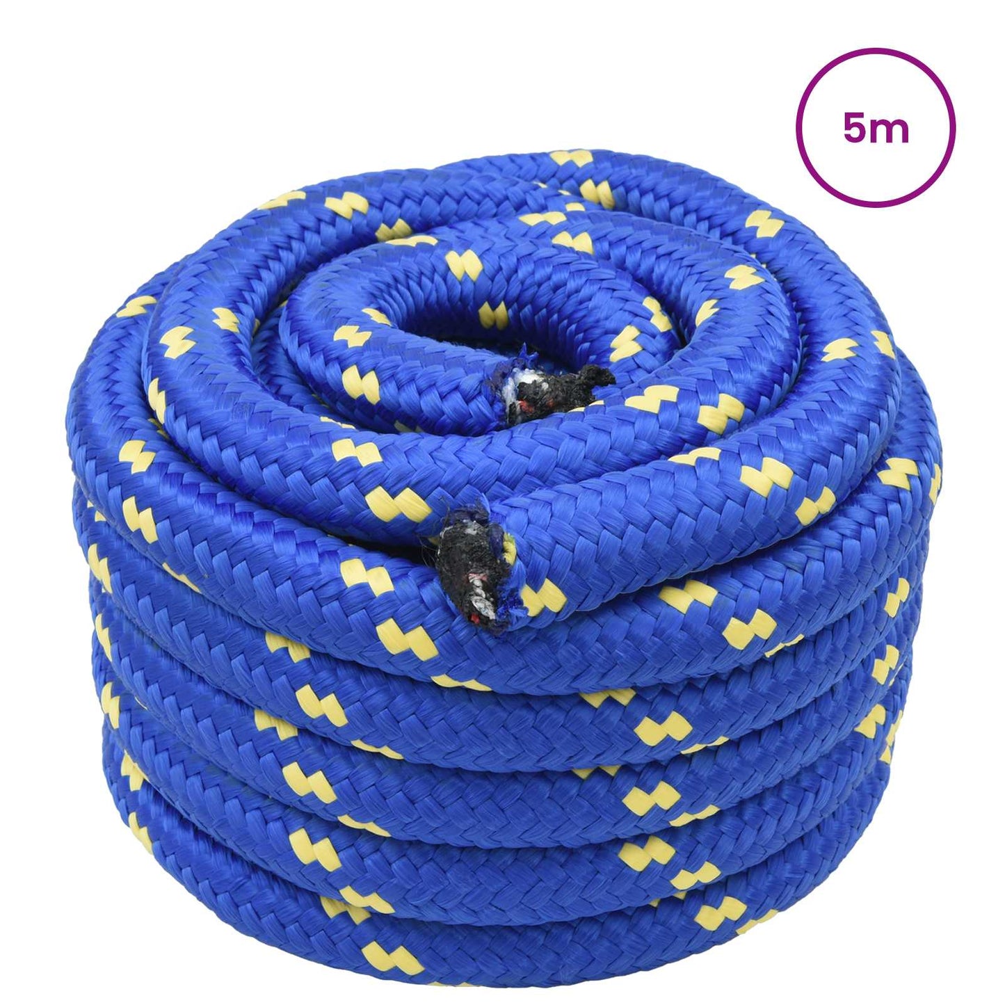 Boat Rope 5 m 4 Blue PP
