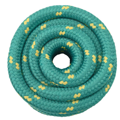 Boat Rope 25 m 3 Green PP