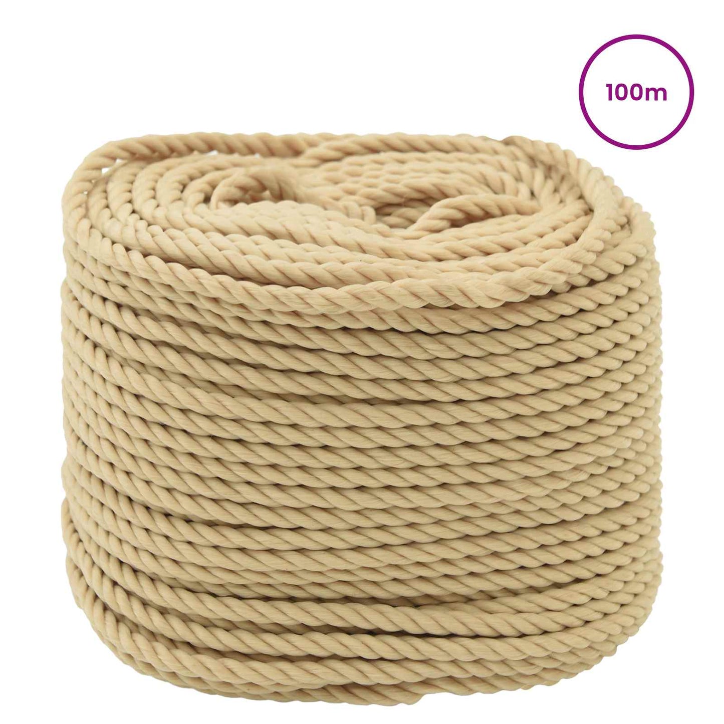Boat Rope 100 m 0.3 Natural PP