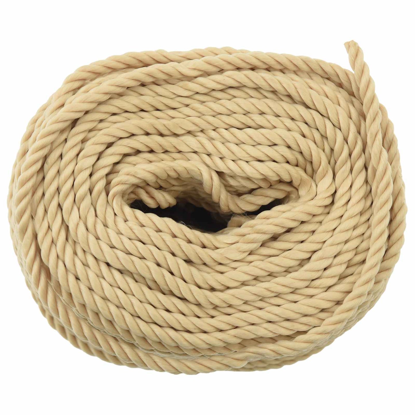 Boat Rope 25 m 0.4 Natural PP