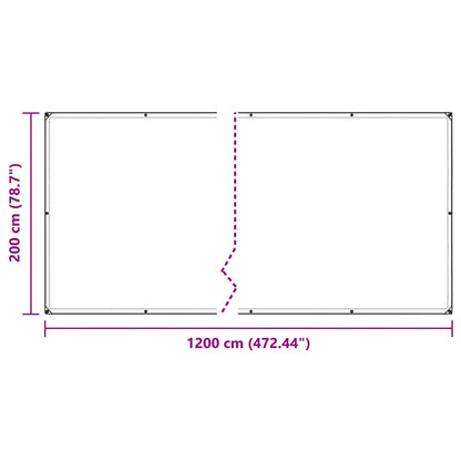 Plant Cover Transparent 2 x 12 m PE