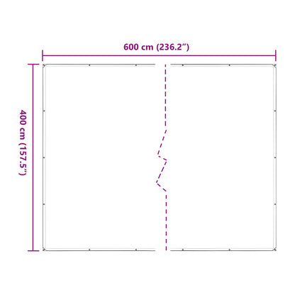 Plant Cover Transparent 4 x 6 m PE