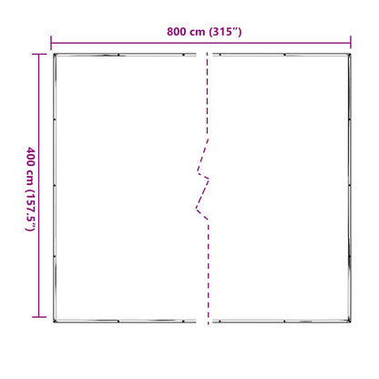 Plant Cover Transparent 4 x 8 m PE