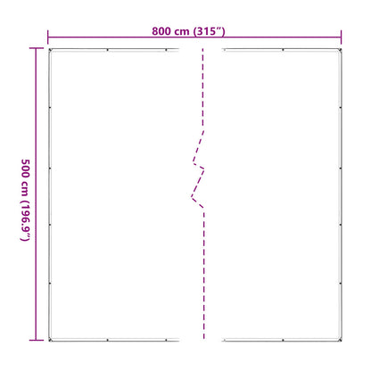 Plant Cover Transparent 5 x 8 m PE