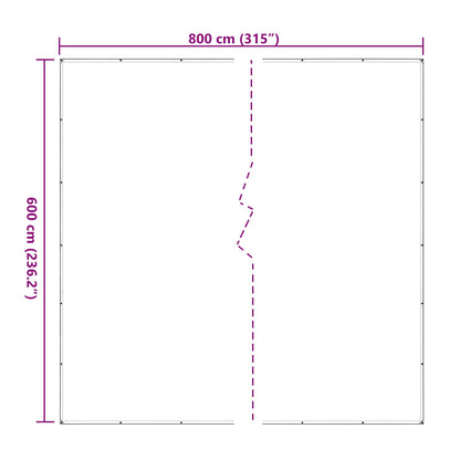 Plant Cover Transparent 6 x 8 m PE