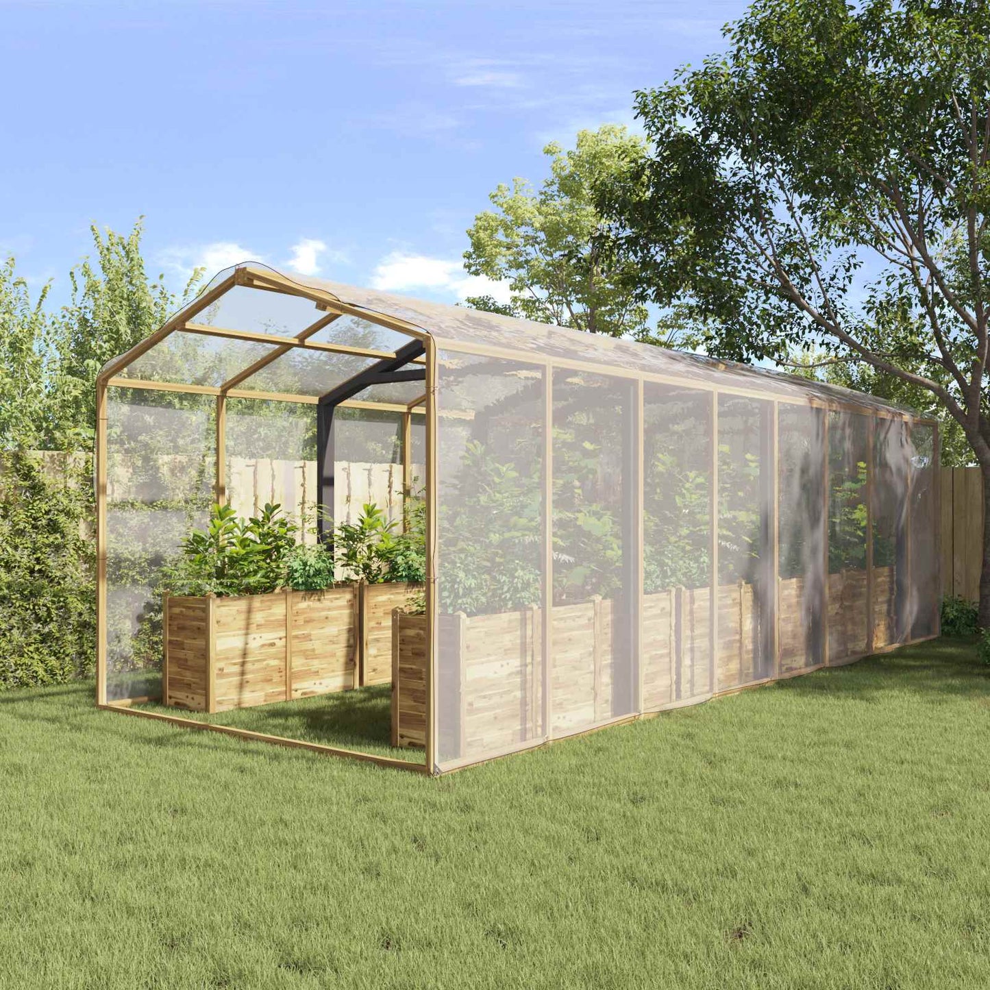 Plant Cover Transparent 6 x 10 m PE