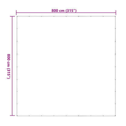 Plant Cover Transparent 8 x 8 m PE