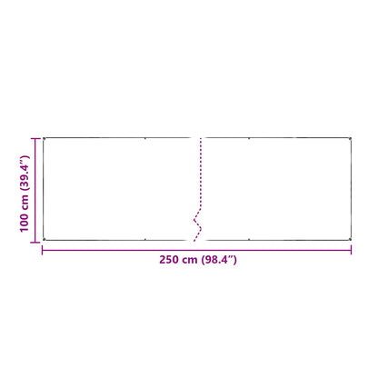 Plant Cover Transparent 2.5 x 1 m PE