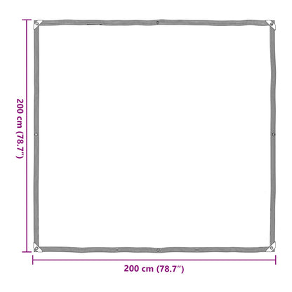 Plant Cover Transparent 2 x 2 m PE
