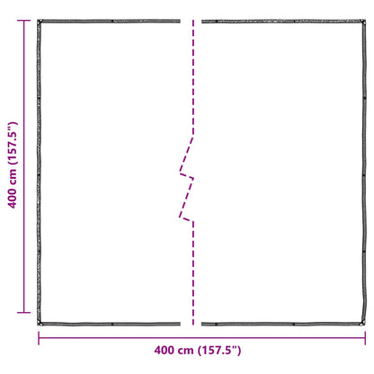 Plant Cover Transparent 4 x 4 m PE