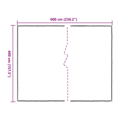 Plant Cover Transparent 4 x 6 m PE