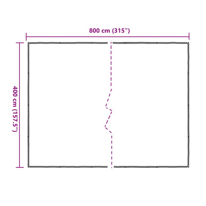 Plant Cover Transparent 4 x 8 m PE