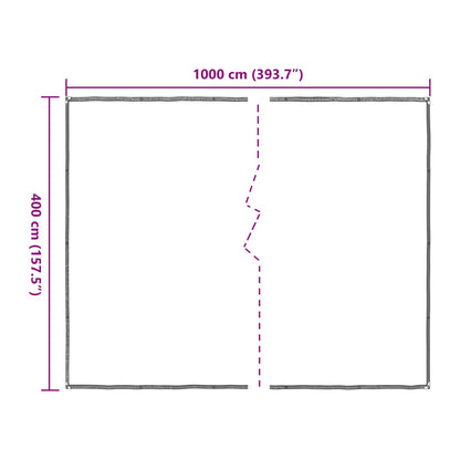Plant Cover Transparent 4 x 10 m PE