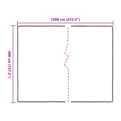 Plant Cover Transparent 4 x 12 m PE