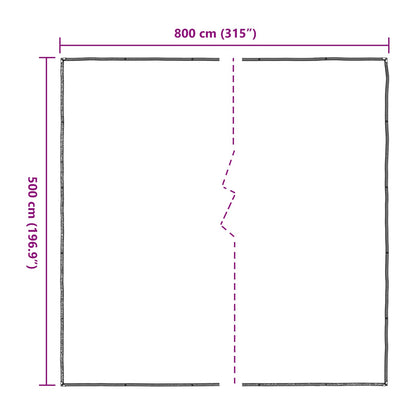 Plant Cover Transparent 5 x 8 m PE