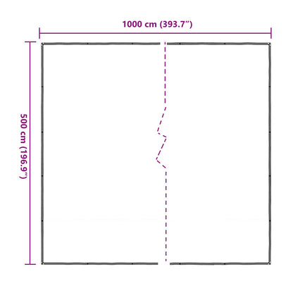 Plant Cover Transparent 5 x 10 m PE