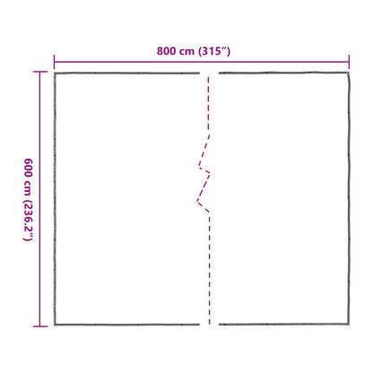 Plant Cover Transparent 6 x 8 m PE